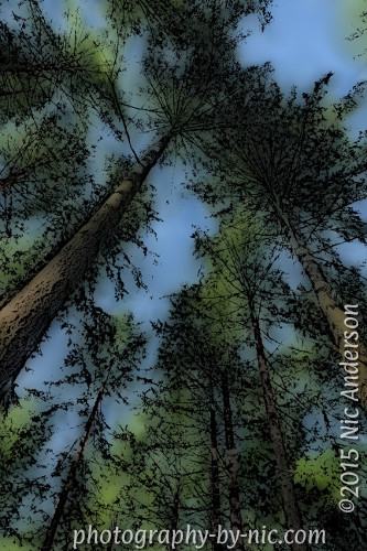 141007_NAT_009-gimp-finger-paint-from-graphic-image-LR500-wm