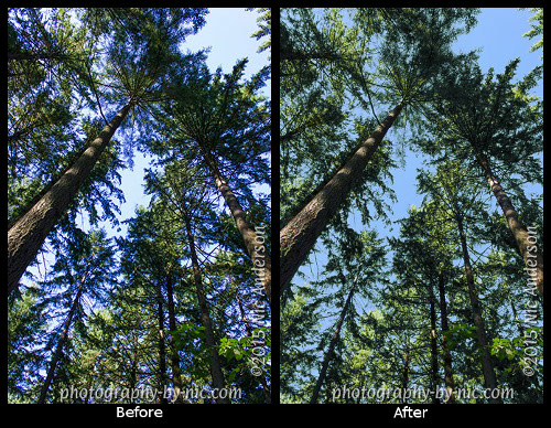 diptych-LR500