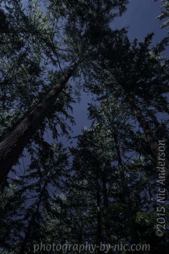 141007_NAT_009-gimp-moonlight6-LR500-wm