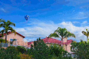 150129_1803_NAT_007-gimp-clouds-balloon+20-newsky-bw