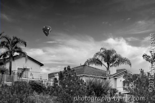 150129_1803_NAT_007-gimp-gmic-bw-LR500-wm