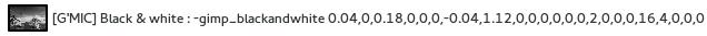 gmic-bw
