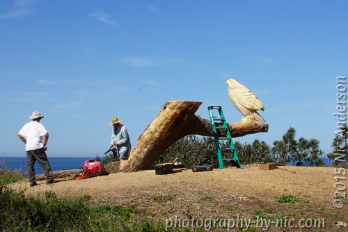 150305_NAT_031-gimp-c-hp_LR500-wm