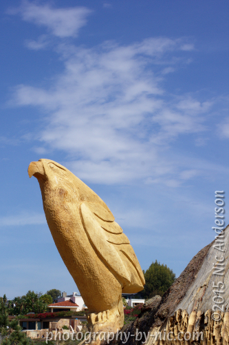 150319_NAT_003-gimp-c2_LR500-wm