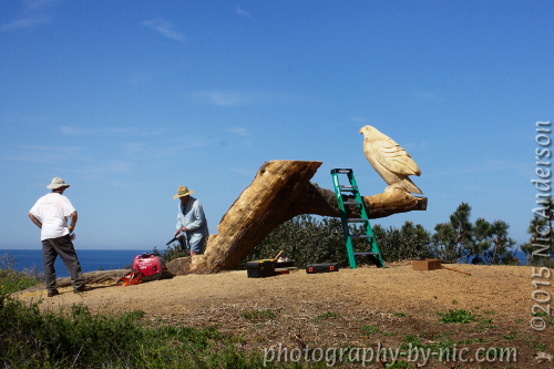 50-30-vignette-image-guys-focus