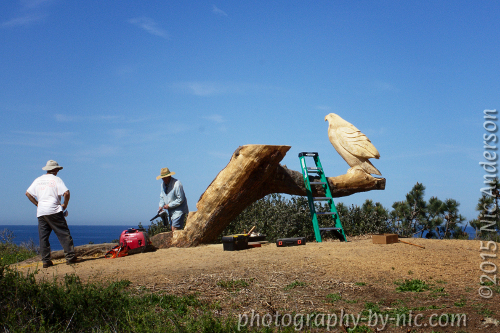 50-30-vignette-image