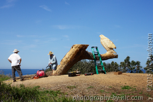 60-30-vignette-image-guys-focus-square