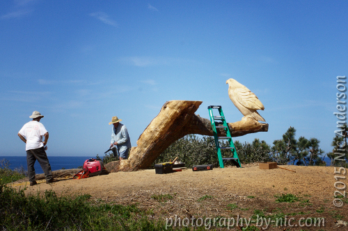 70-30-vignette-image