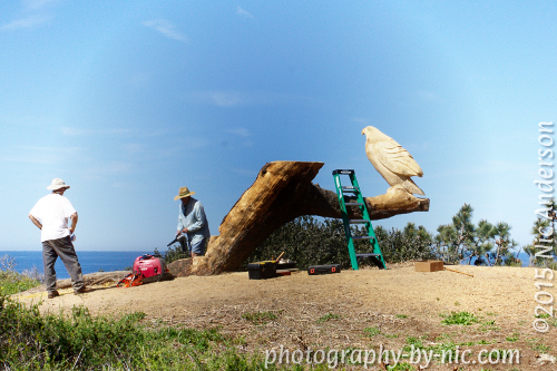 black-white-vignette-image