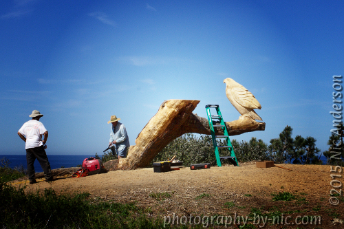 white-black-vignette-image