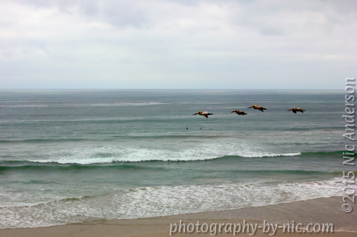 130305_LAND_050-gimp2-splittone_LR500-wm