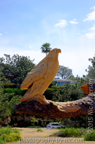 150319_NAT_004-gimp-color-grading