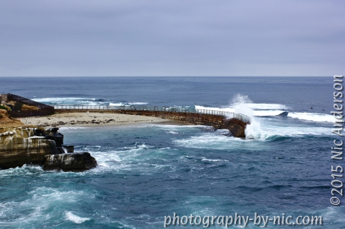 150415_NAT_091-gimp-c_LR500-wm