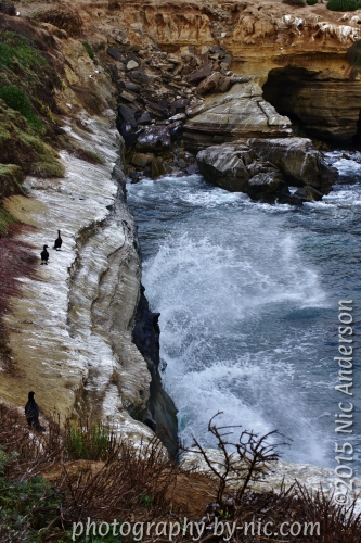 150415_NAT_098-gimp-c_LR500-wm