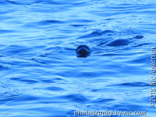 150417_NAT_019_LR500-wm