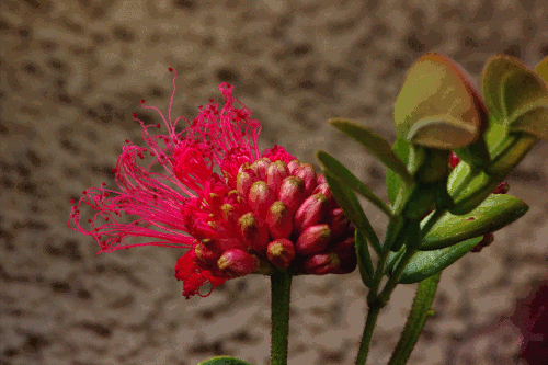 140207_NAT_034-edit2