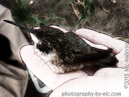 150504_CELL_002-gimp-sketch-addcolor