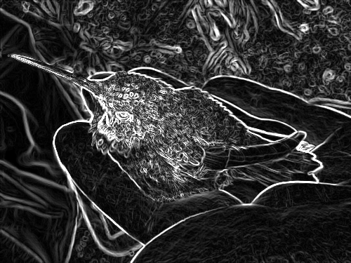 150504_CELL_002-gimp-sketch-edges