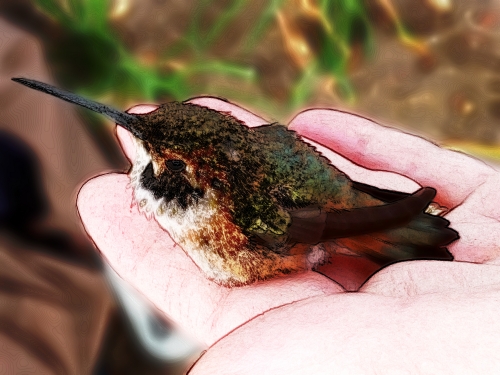 150504_CELL_002-gimp-sketch2-5_LR500