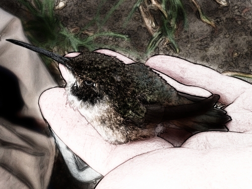 150504_CELL_002-gimp-sketch_LR500