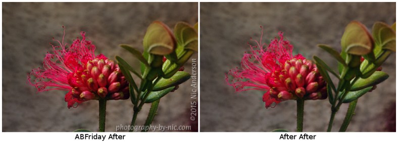 wavelet-residual-chgbkgcolor2-leaf