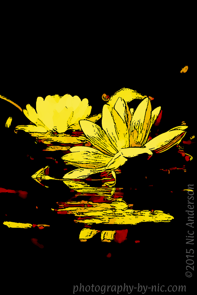 120414_NAT_4437-gimp-60s-movie-posters_engrave-redoff-1000-wm