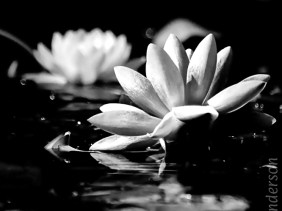 One Four Challenge June Week 3 edit