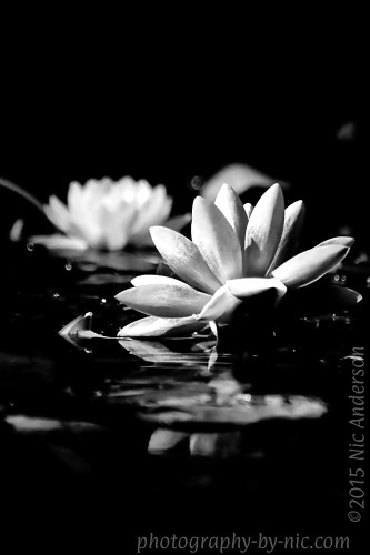 One Four Challenge June Week 3 edit