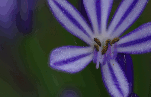 150611_final-cws5-gray-set14--gimp