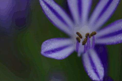 150611_NAT_150-set14