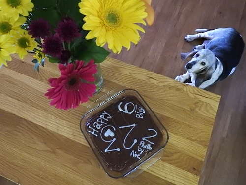 150612_NAT_018--fav._LR500