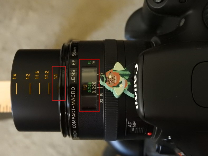 150614_NAT_013-red_LR1000