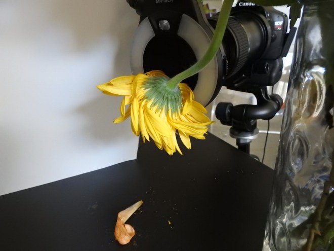 150617_NAT_003_LR1000