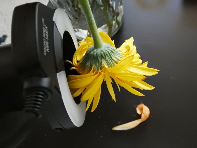 150617_NAT_005-2_LR1000