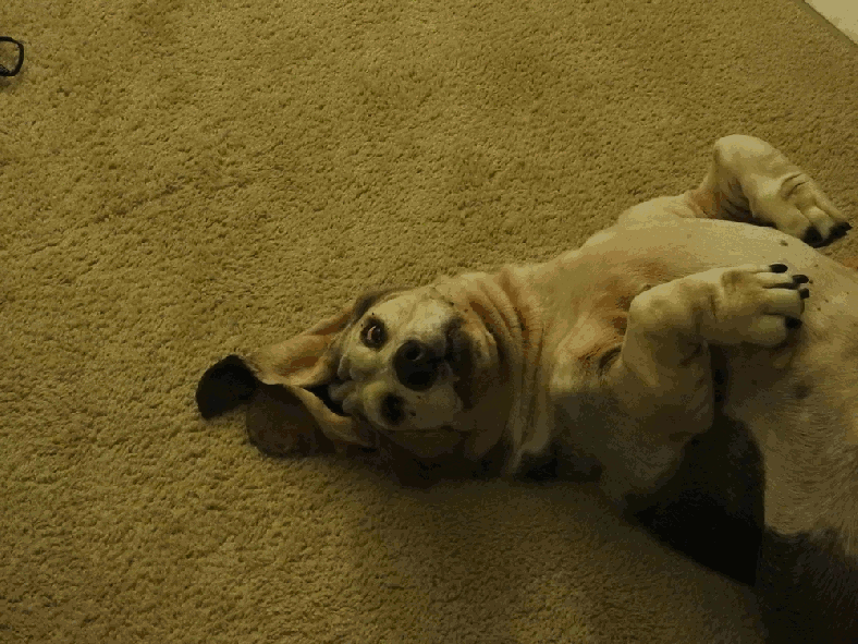 150812_NAT_003-DT--gimp