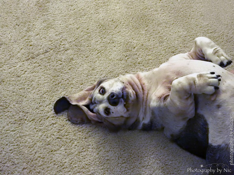 150812_NAT_003-DT--gimp_LR1000-wm