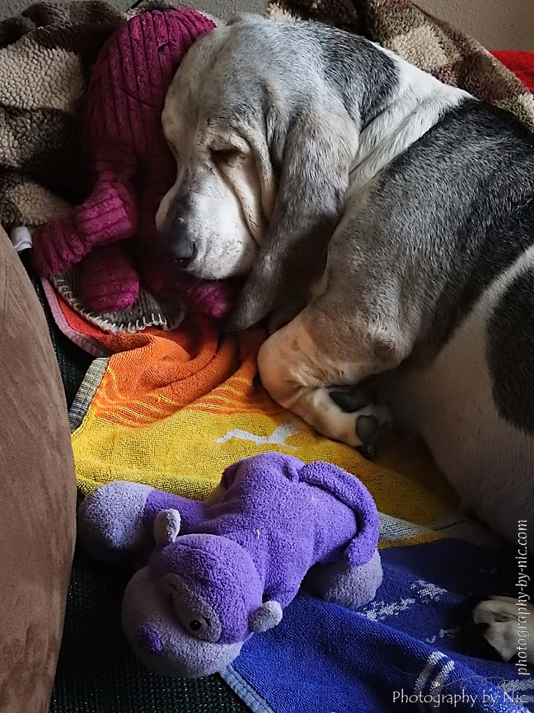 150908_NAT_007--gimp_LR1000-wm