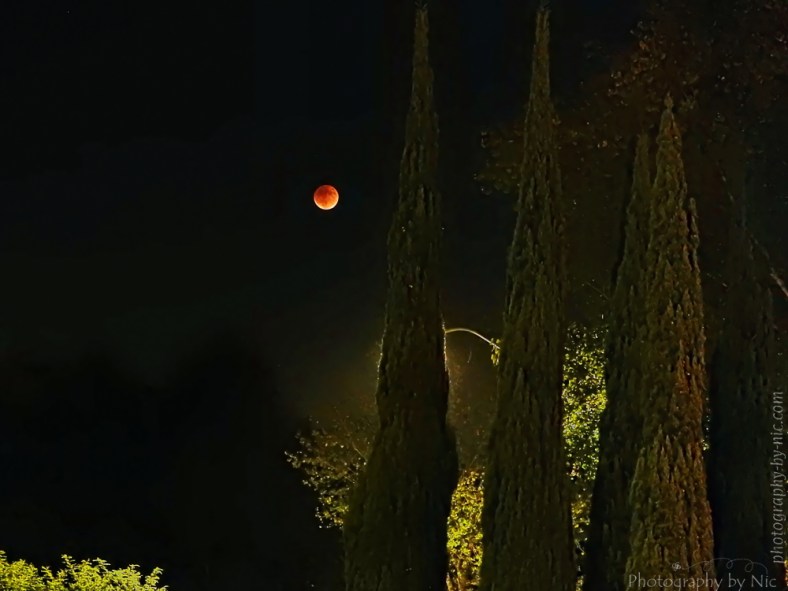 150927_NAT_028--gimp-colorgrade_grunge-fauxhdr_ccurves_freaky_highpass_noisered_LR1000-wm