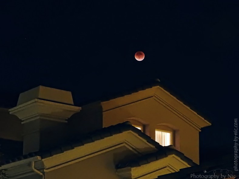 150927_NAT_040--gimp-colorgrading_freaky_highpass_noisered_LR1000-wm