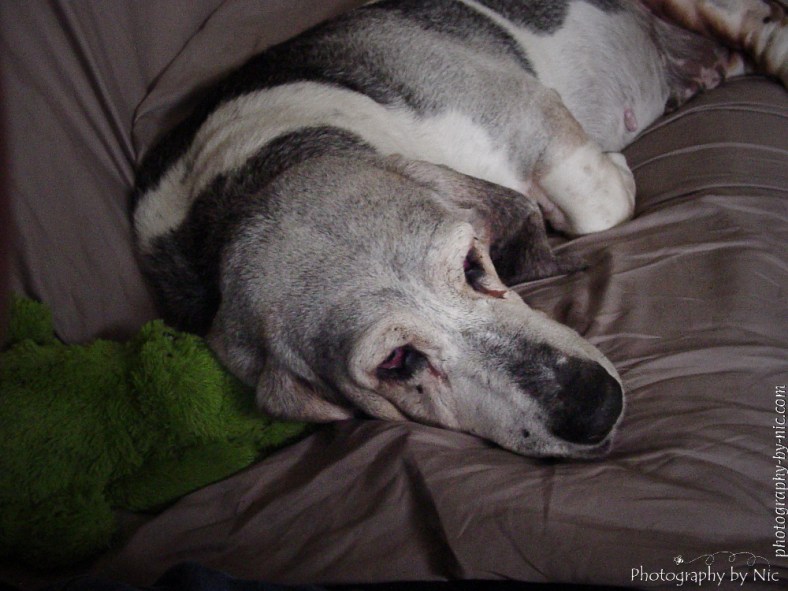 151004_NAT_002--gimp_LR1000-wm