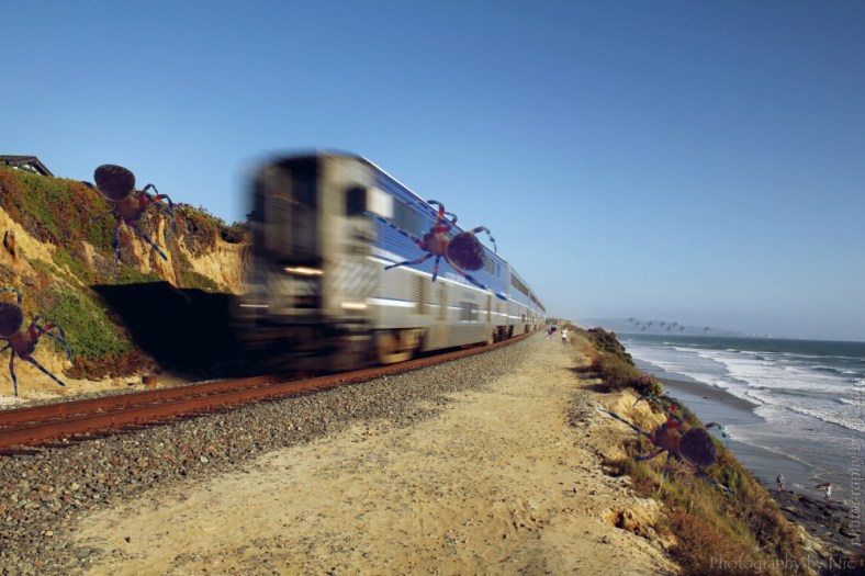 151006_NAT_013--gimp4-2_LR1000-wm