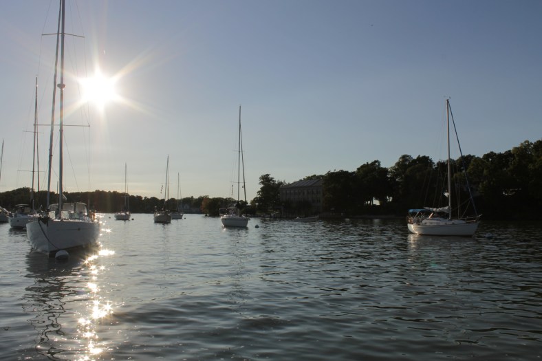 Michelle Lunato October One Photo Focus