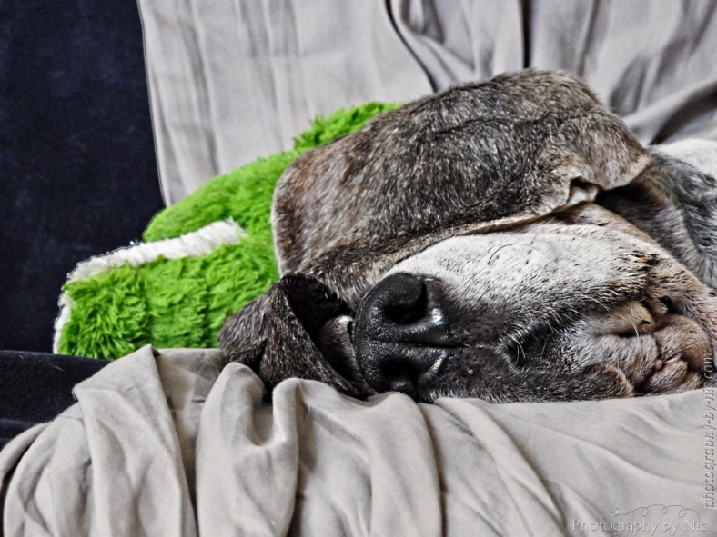 playing_with_clarity-gimp--freaky_details_LR1000-wm