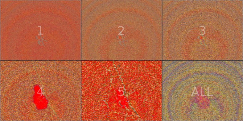 wavelet-polyptych-hue