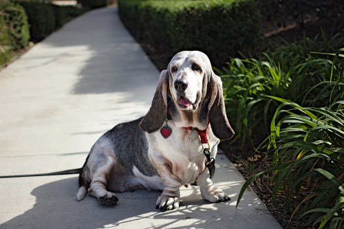 150208_NAT_011--gimp2_LR1000-wm