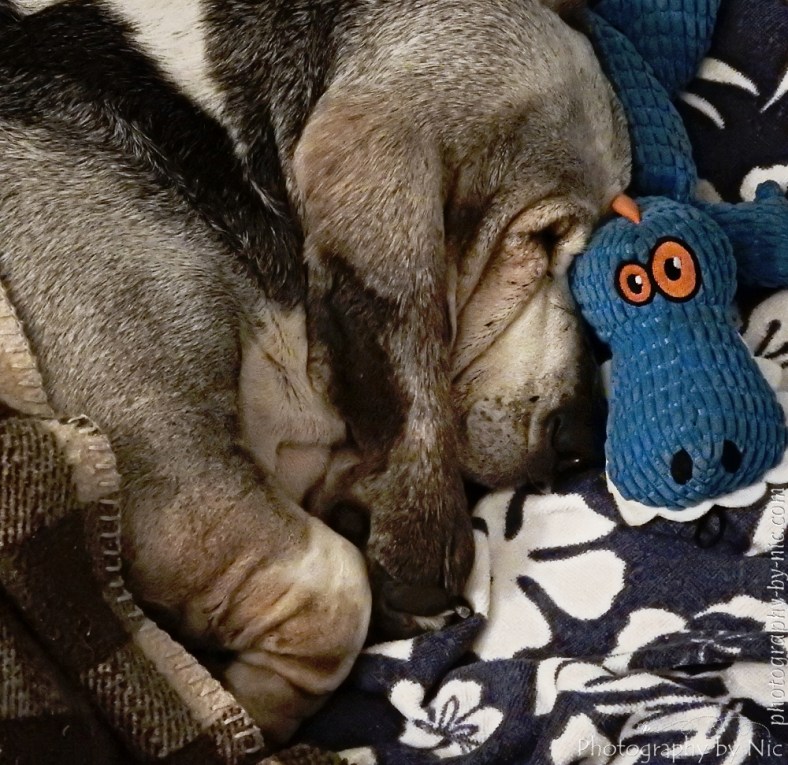 151103_NAT_004--gimp_LR1000-wm