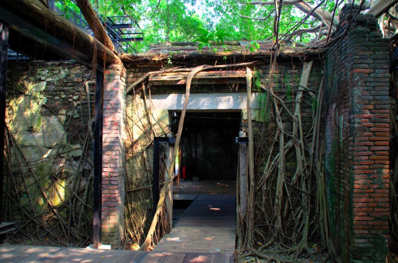 Helen Chen November One Photo Focus--DT_LR1000