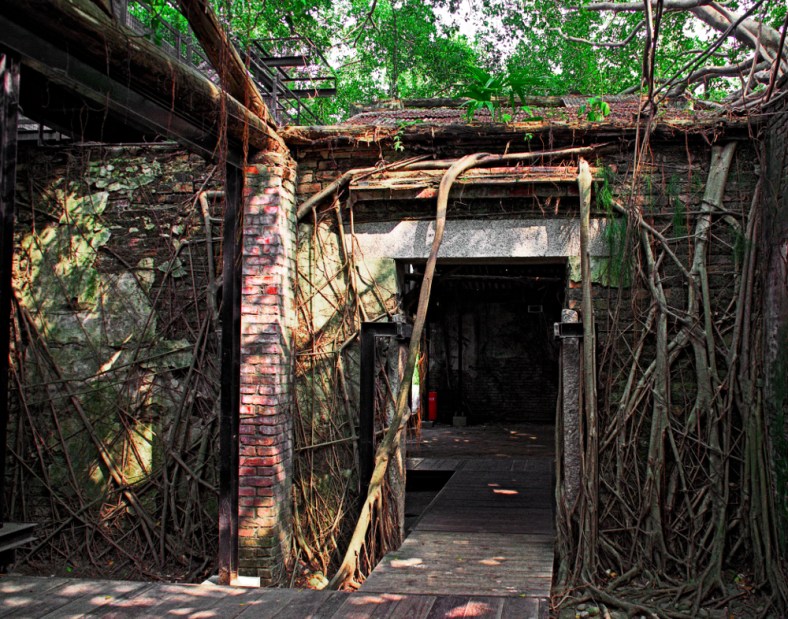 Nic_Anderson-November-One Photo Focus