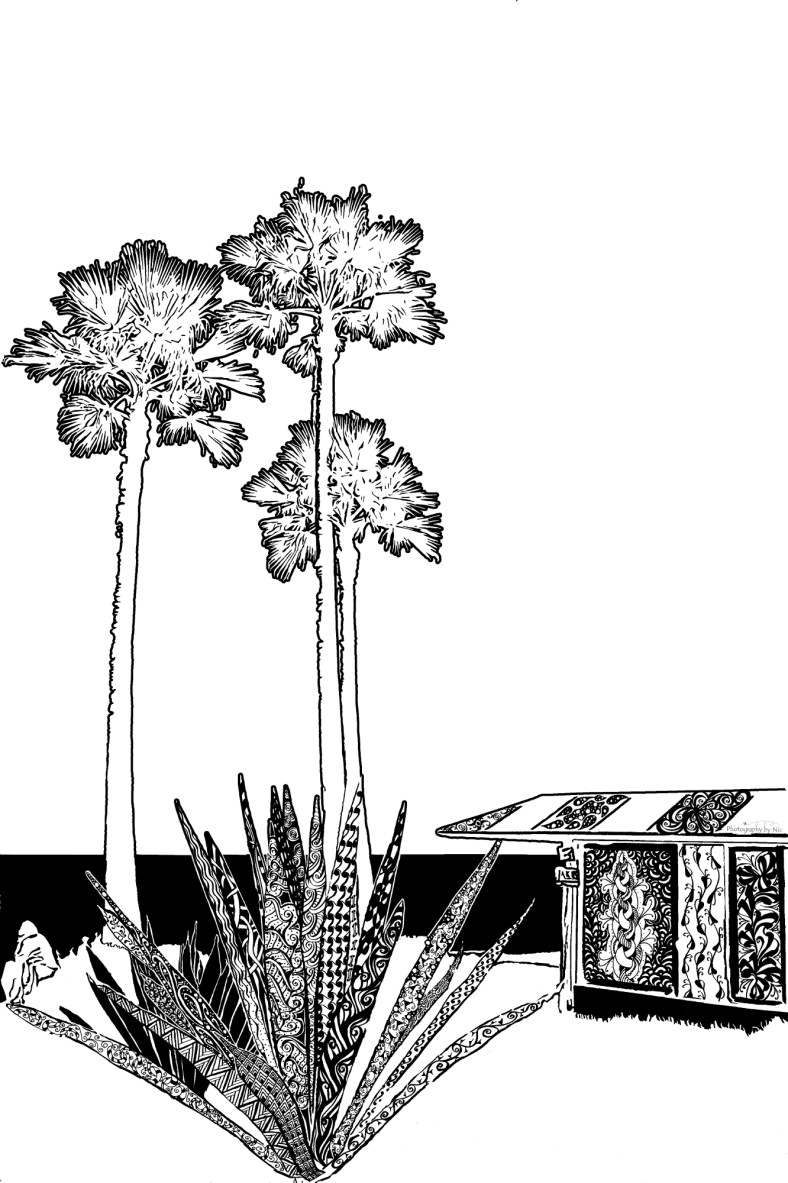 120101_NAT_001-tangle_LR2000-wm