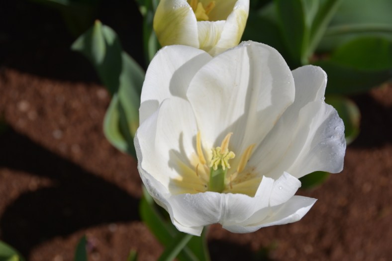 Julie Powell December One Photo FOcus_LR1000